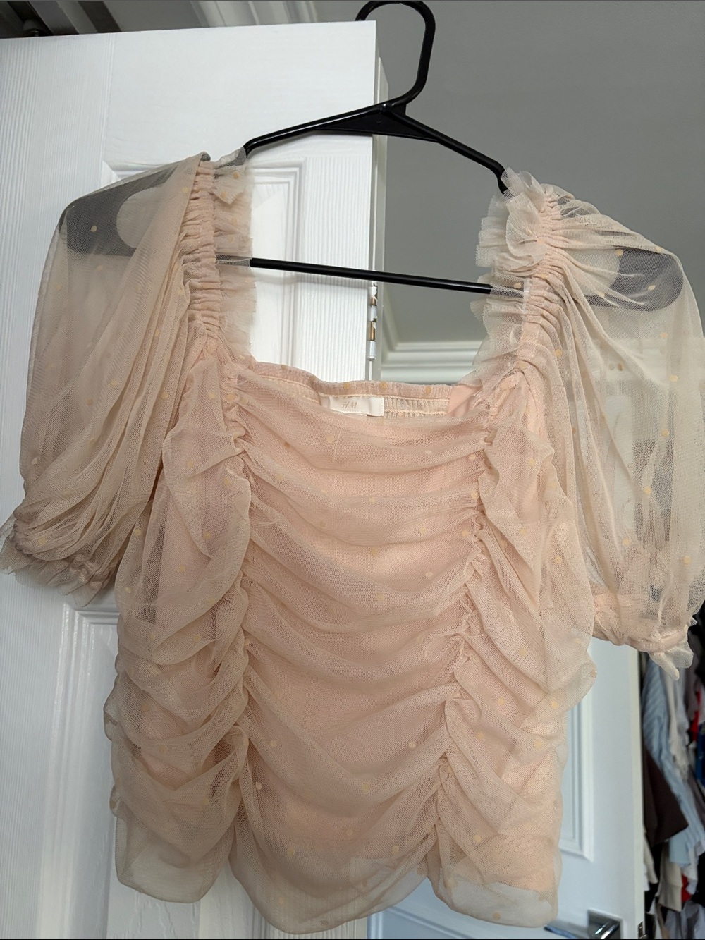 Sheer Ruched Puff Sleeve Top